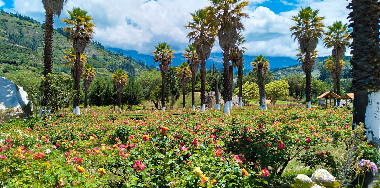 tours-laguna-llanganuco 3