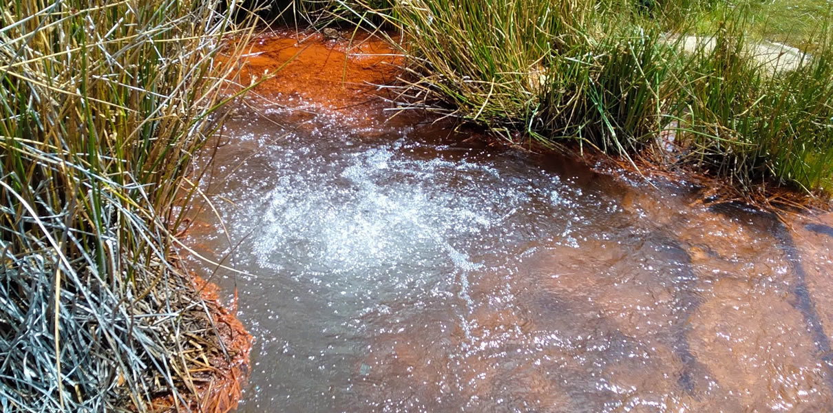 tours-nevado-pastoruri 1