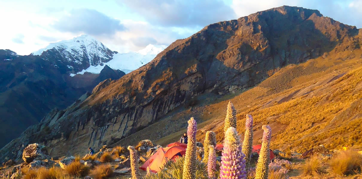 trekking-cedros-alpamayo-santa-cruz 1