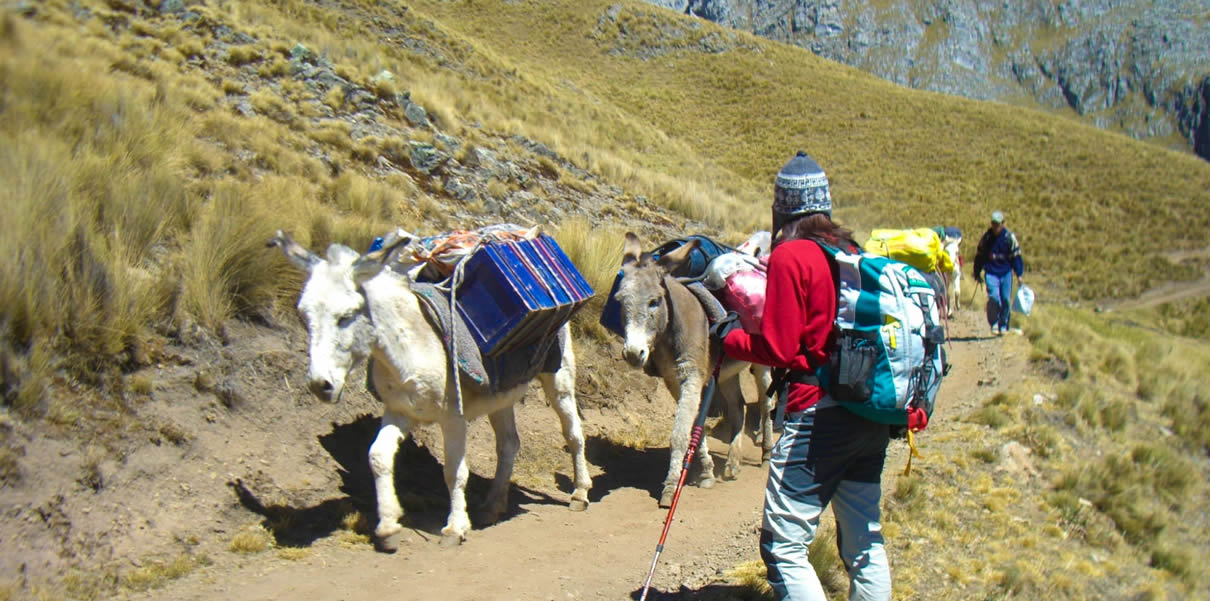 trekking-cordillera-huayhuash-climbing-diablo-mudo-camino-inca 1